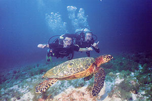 Scuba in Florianopolis